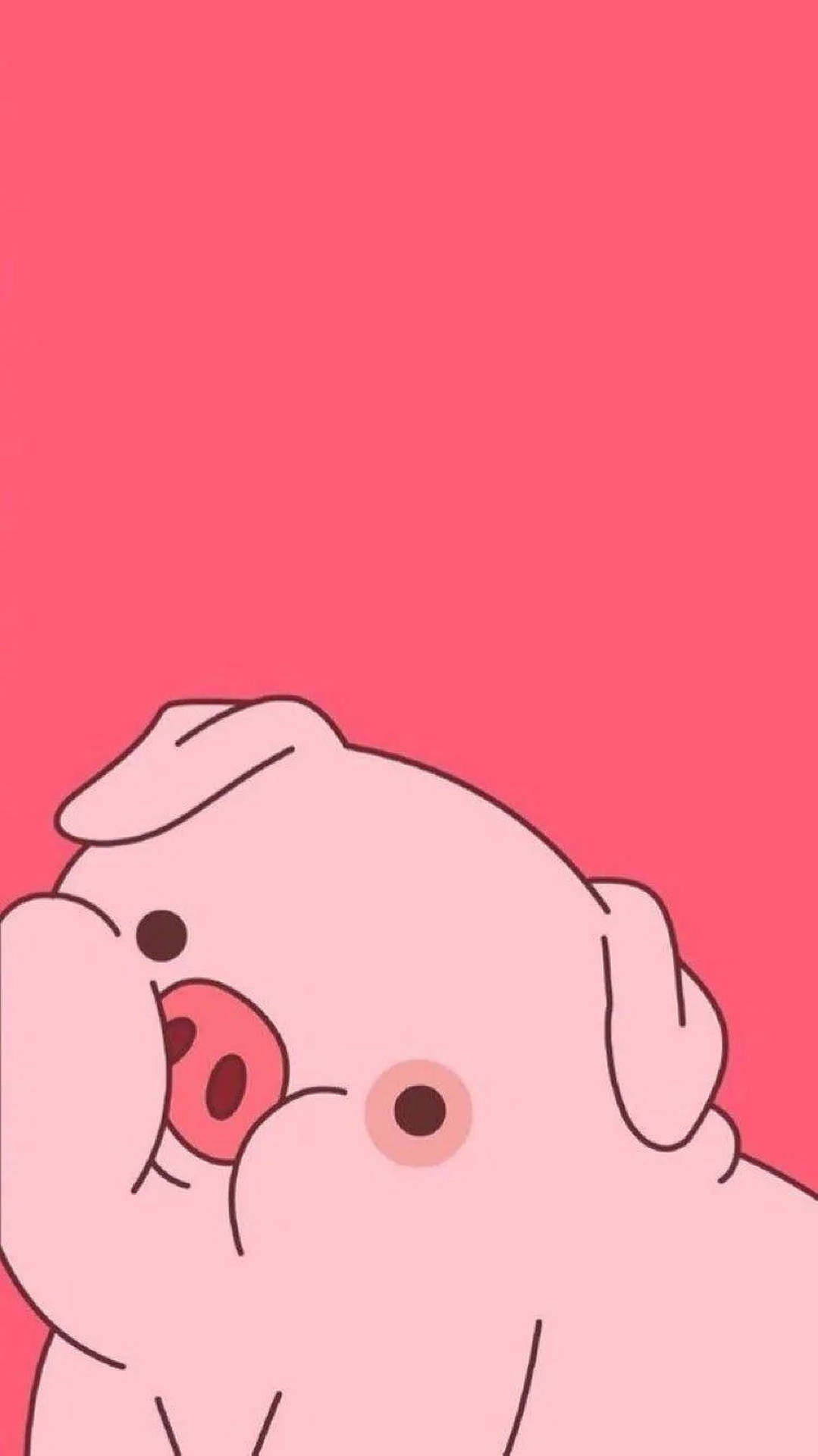 Cute Pig Wallpaper