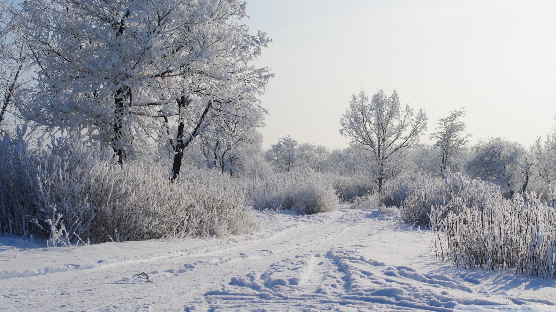 Winter Landscape Wallpaper Image