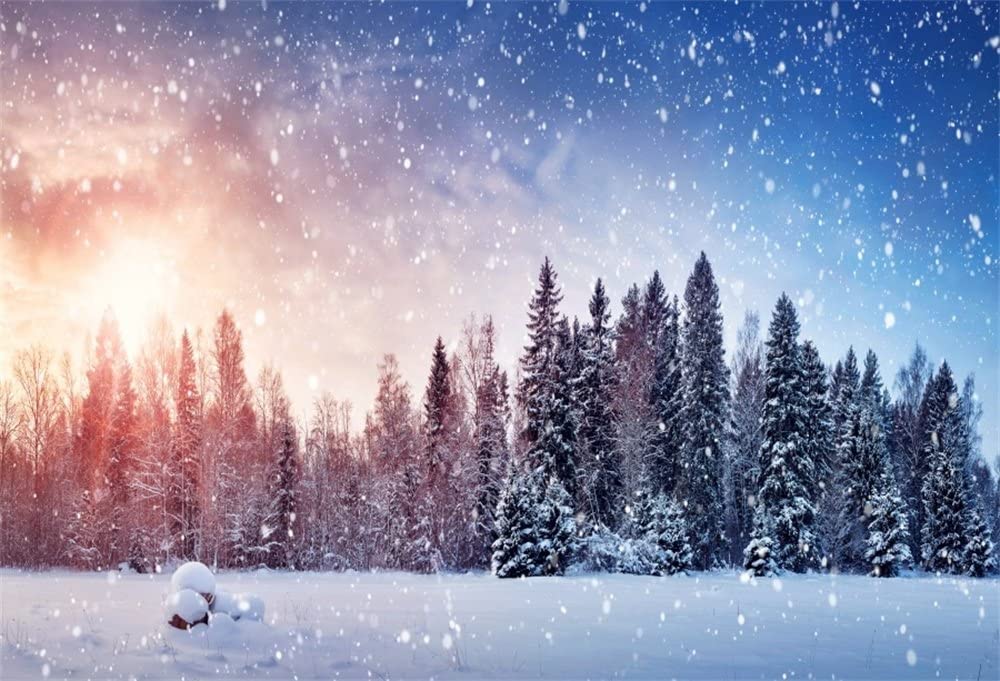Amazon Lfeey Winter Christmas Background Snowing Pine