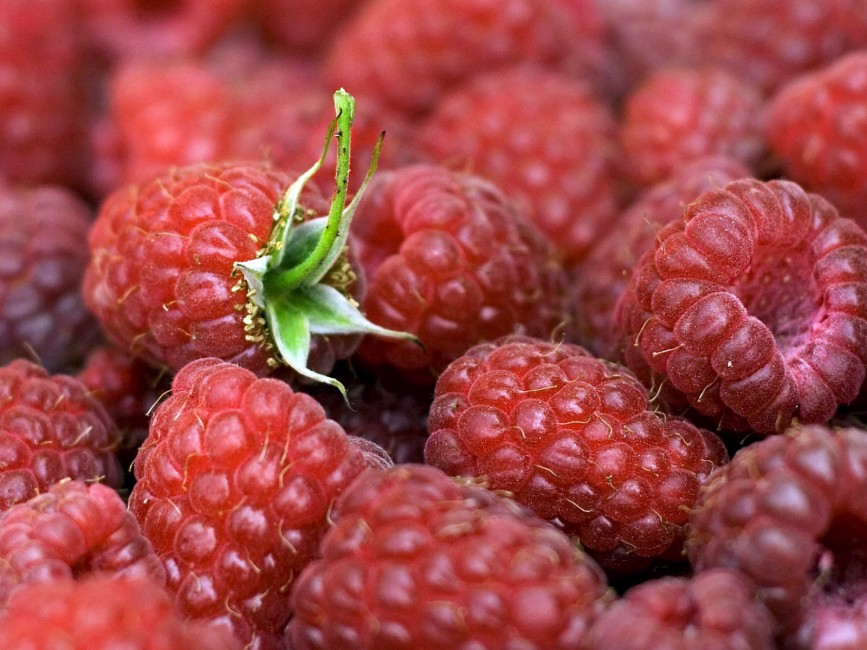 Raspberries Berries Ripe The Leaves Stock Photos Image