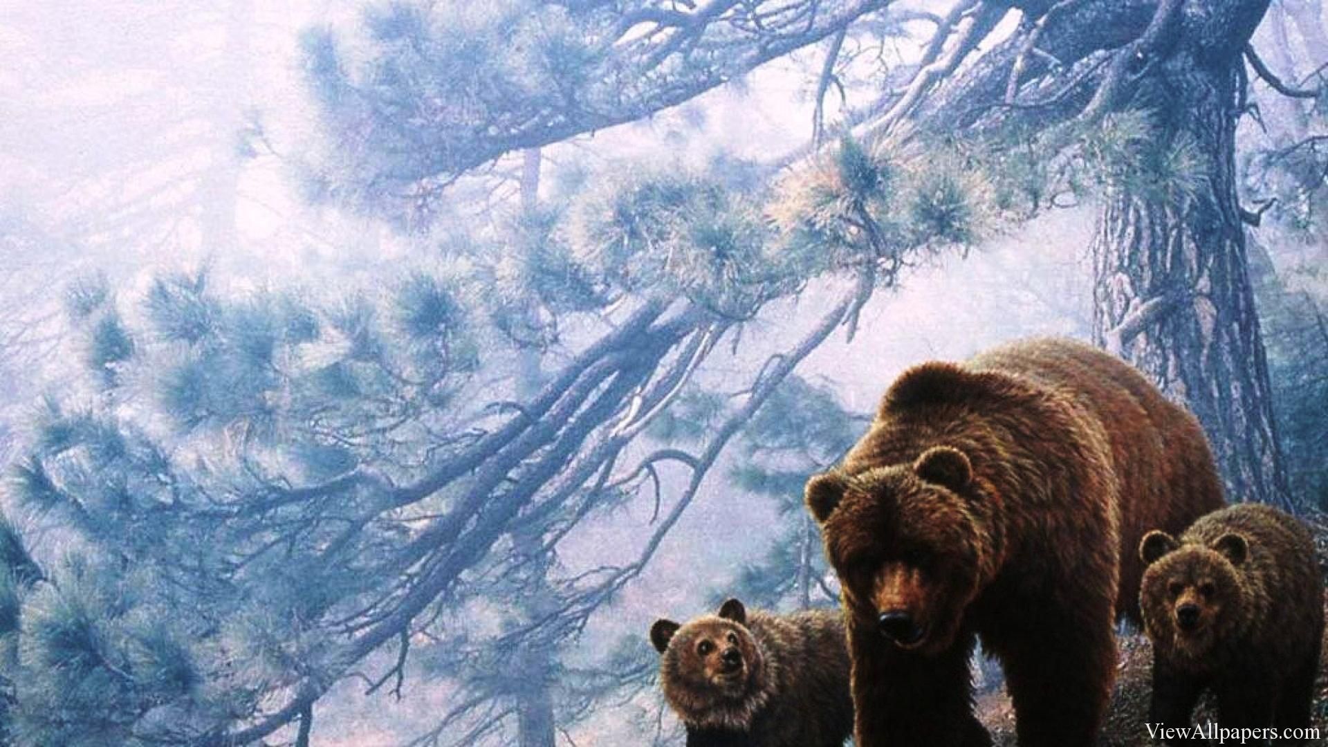 Grizzly Bears High Resolution Wallpaper