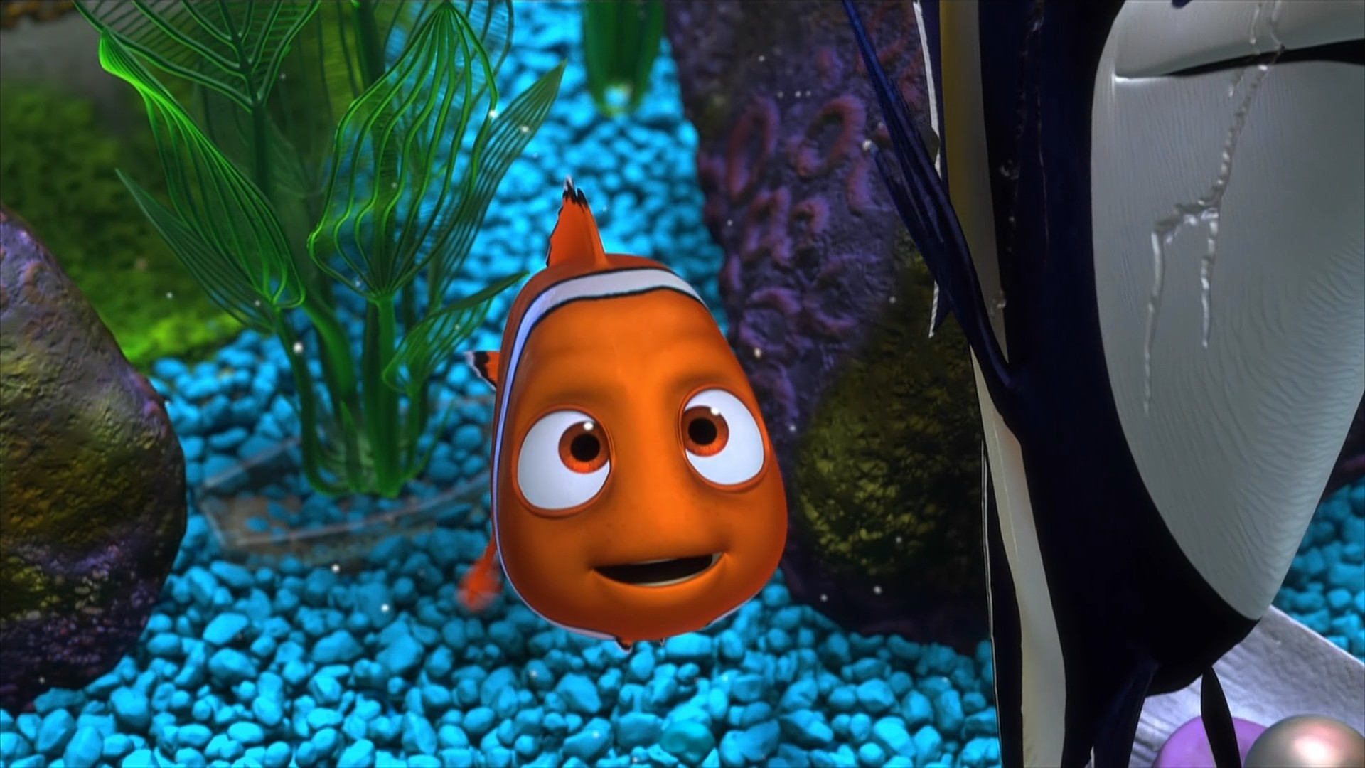 HD Nemo Wallpaper
