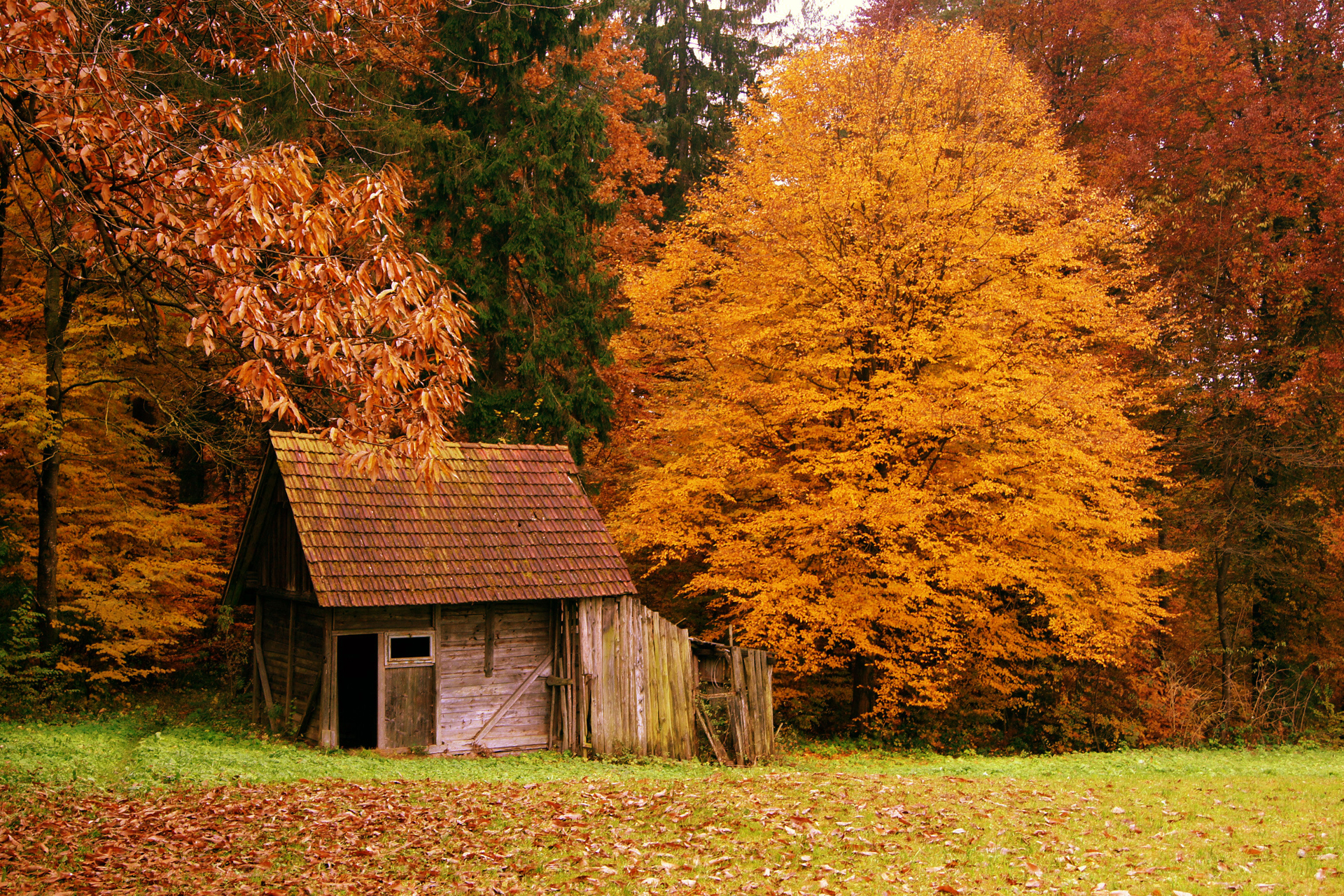 Autumn Buildings Fall Forest Landscapes Nature Scenery