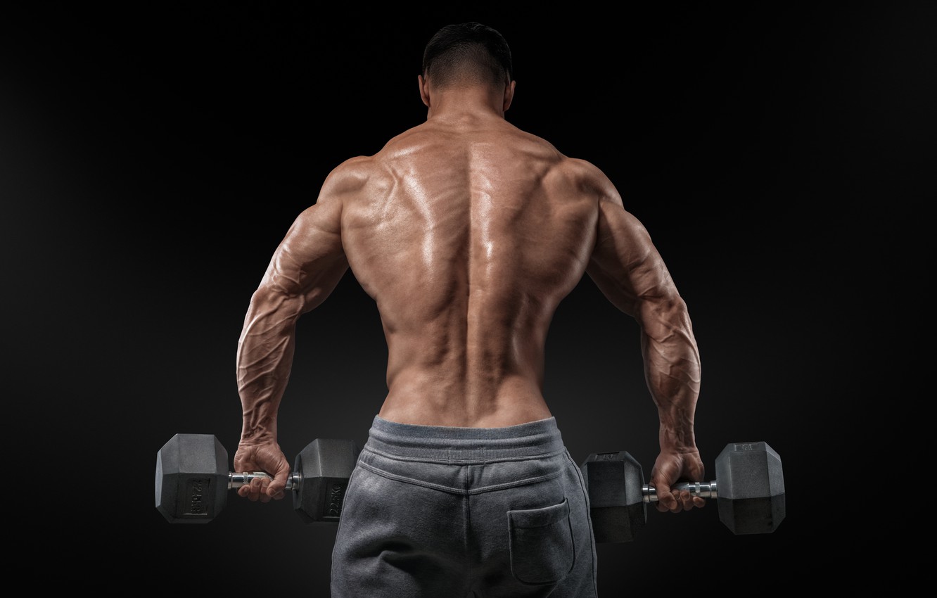 Wallpaper Men Muscular Bare Back Image For Desktop Section