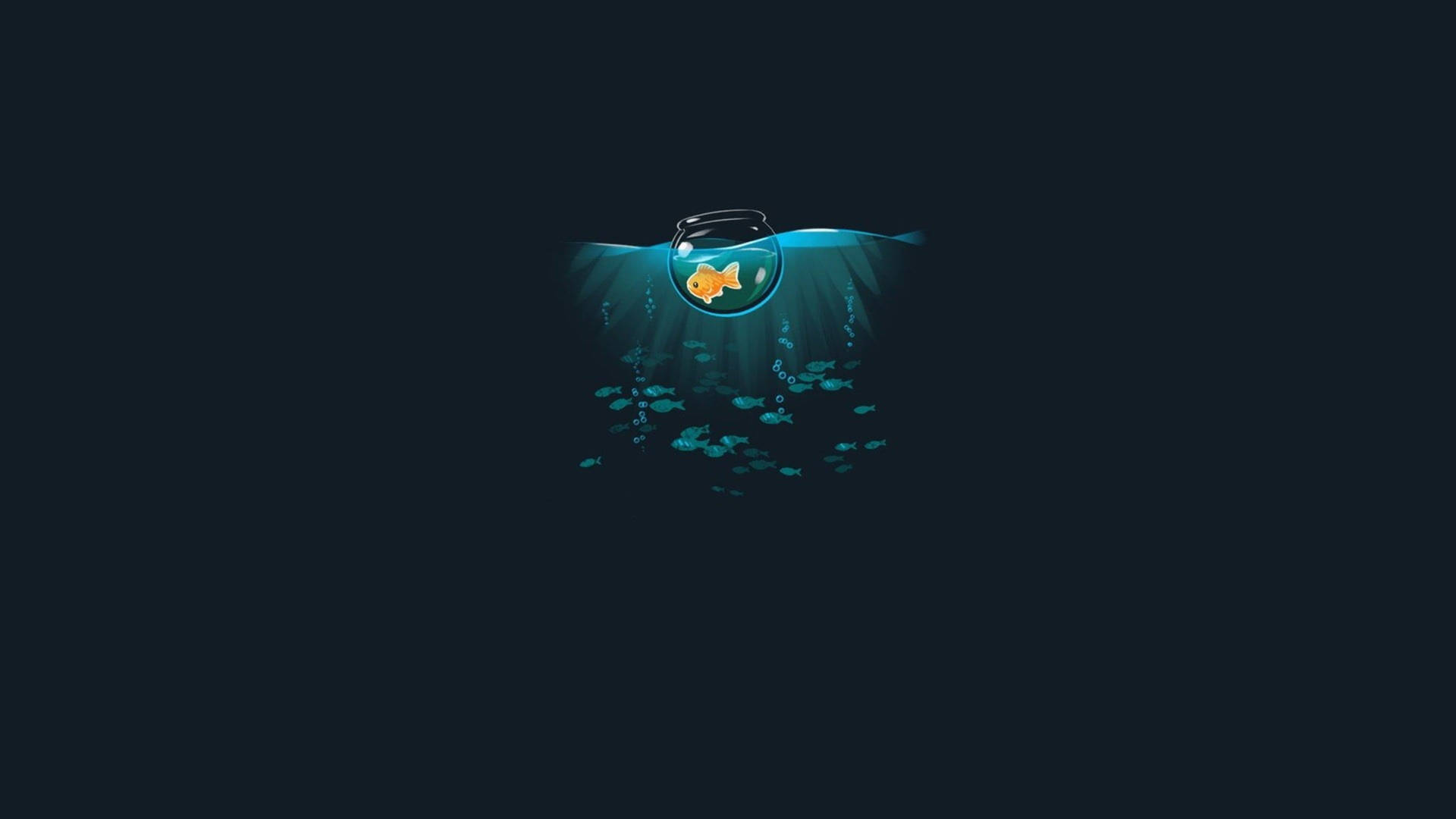 4k Vector Wallpaper