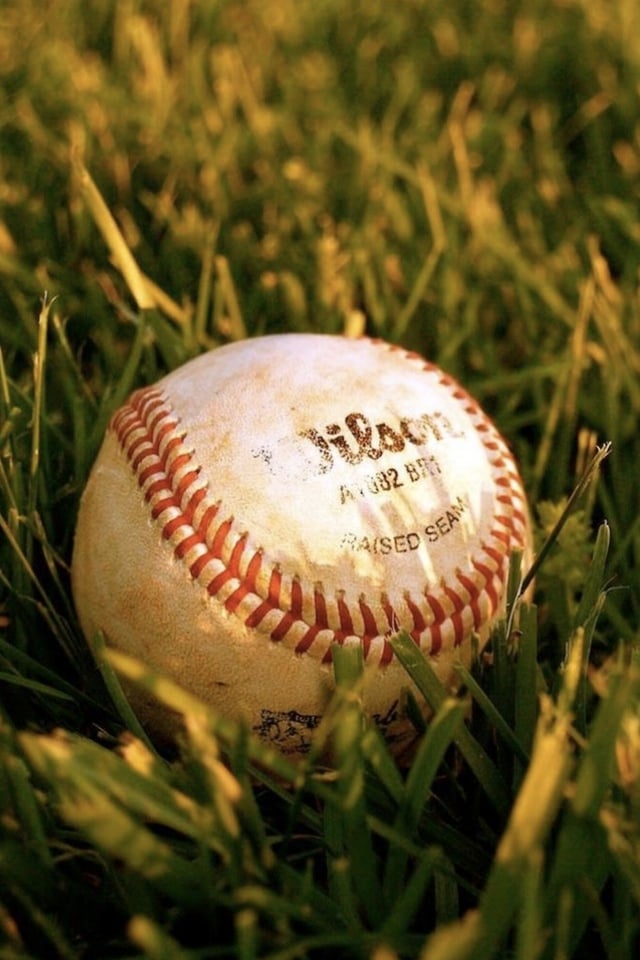 The baseball in the Grass 3Wjpg Les 3 Wallpapers iPhone du jour 26 640x960