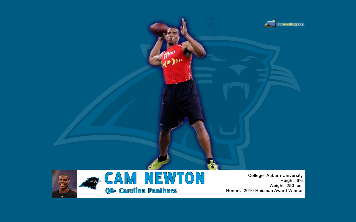 Desktop Wallpaper For New Carolina Panthers Quarterback Cam Newton