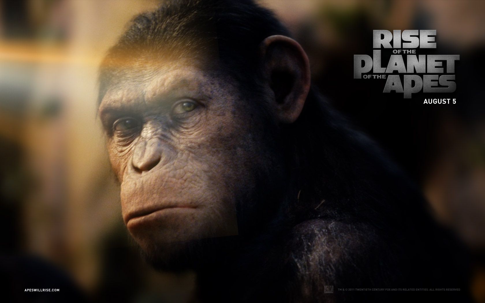 Rise Of The Pla Apes Caesar Desktop Pc And Mac Wallpaper