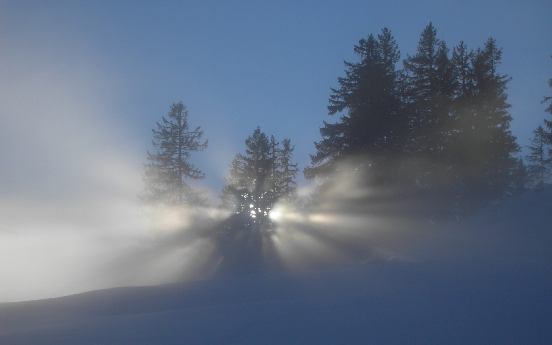 Winter Sun Wallpaper