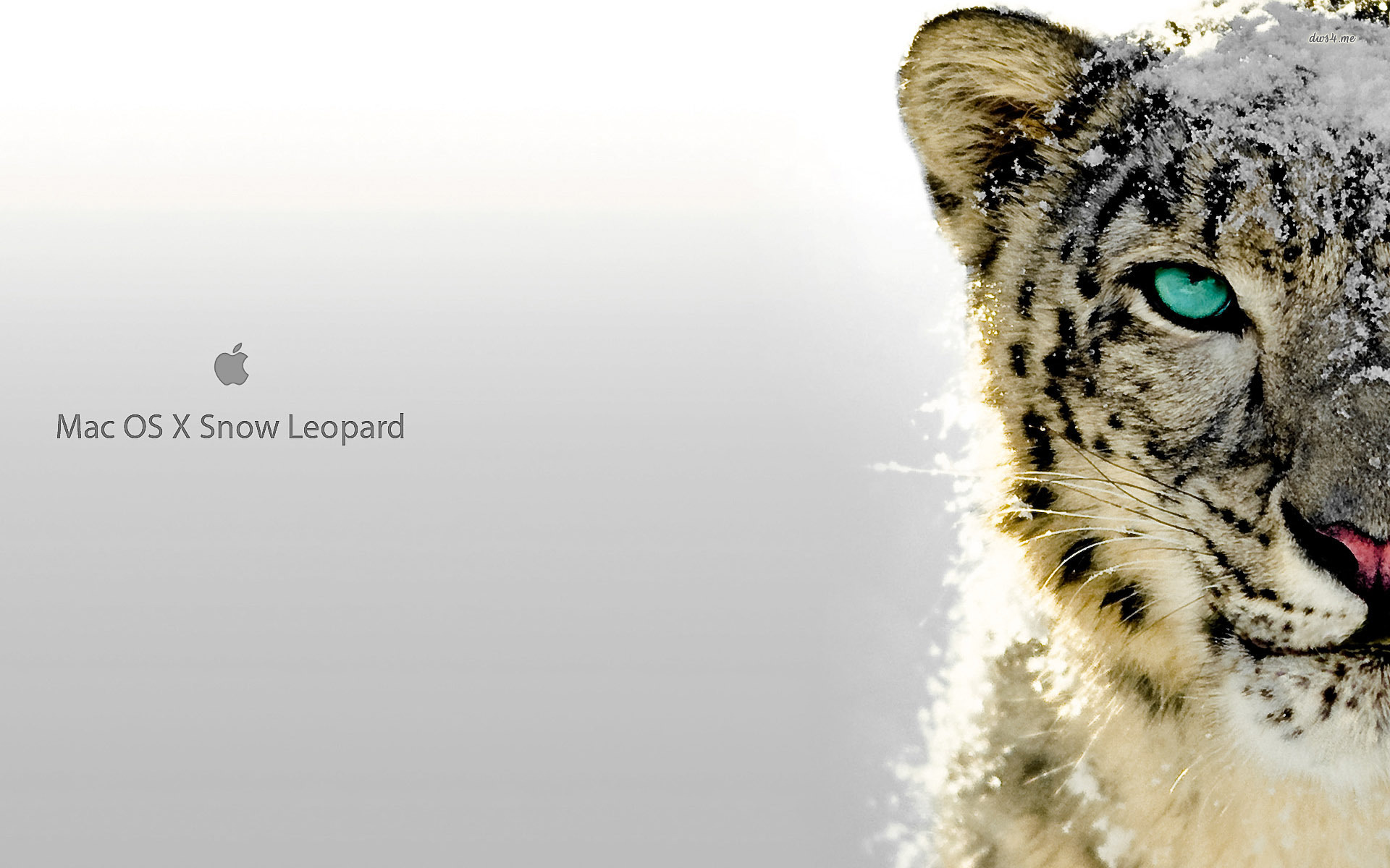 mac os x snow leopard wallpaper