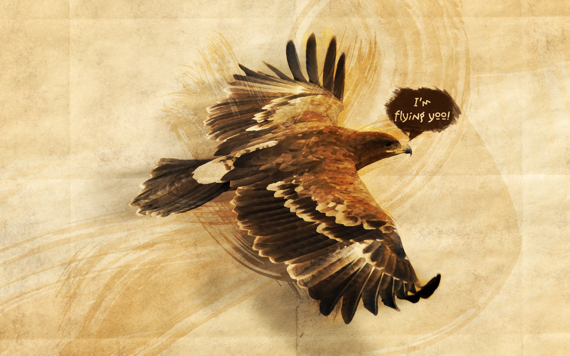 Flying Eagle Wallpaper Htc