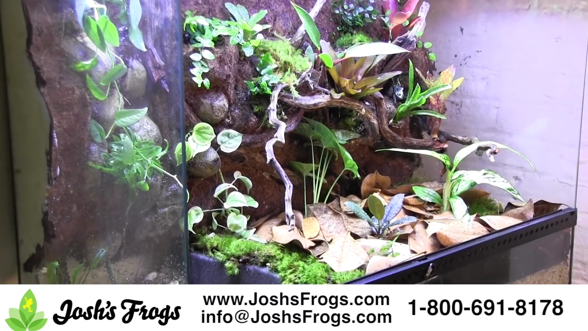 Make A Vivarium Waterfall Josh S Frogs Guides