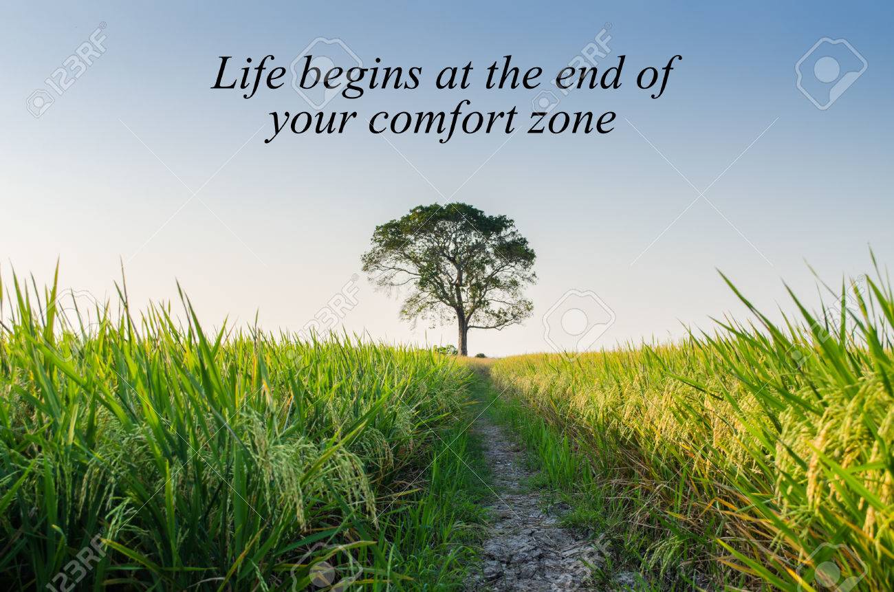 Inspirational Motivating Quote On Nature Background Life Begins