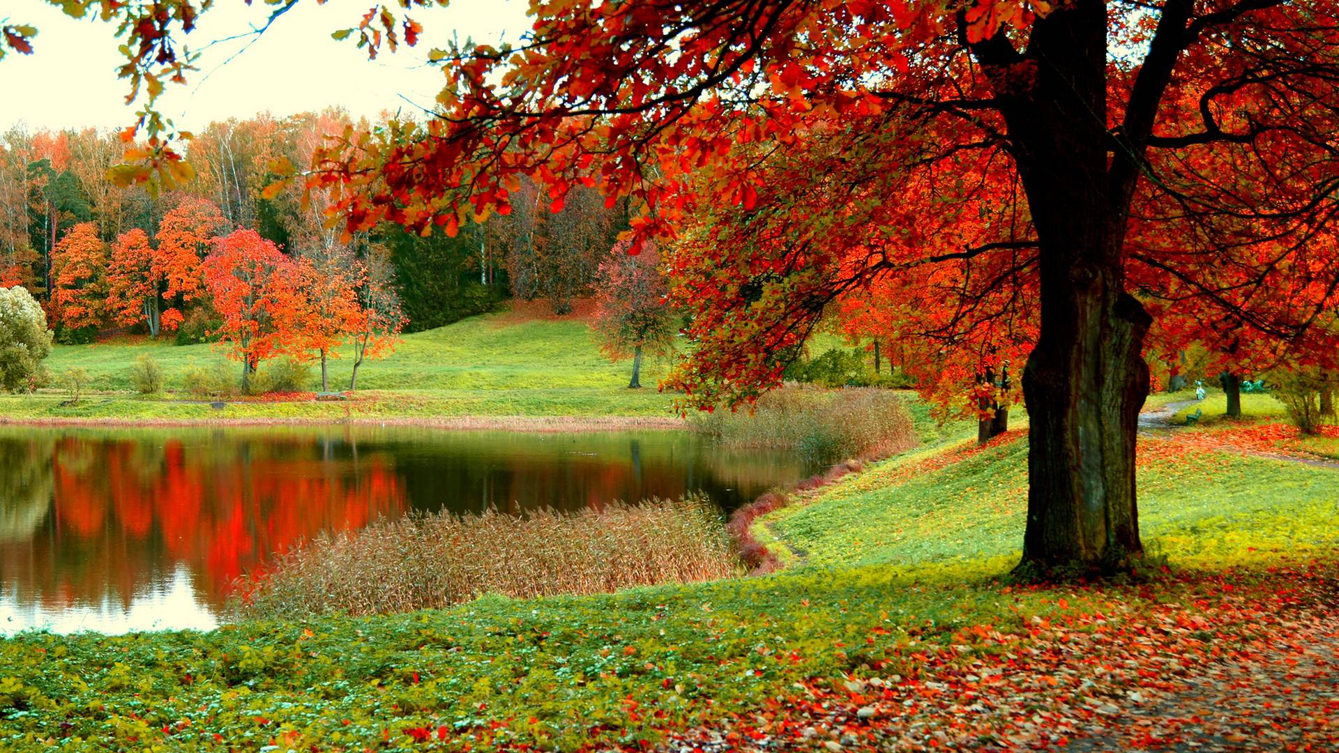 Autumn Wallpaper Widescreen Desktop