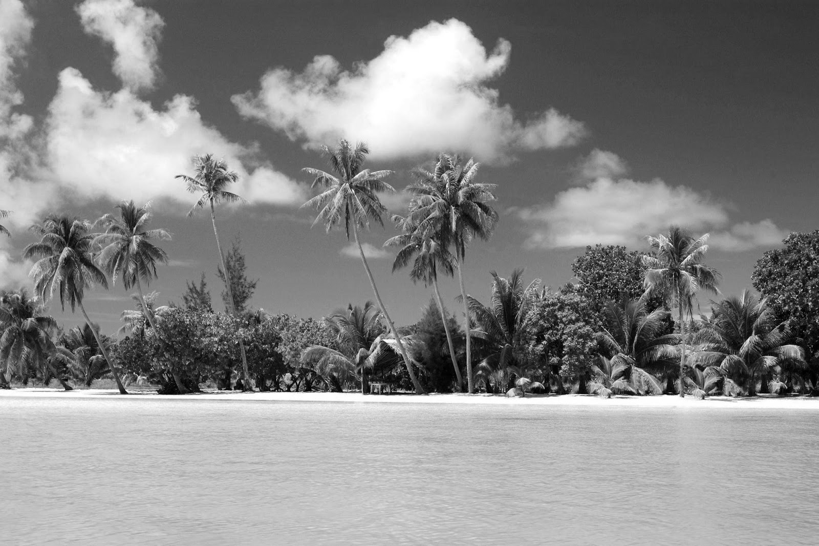 Black And White Wallpaper Beach Landscape HD