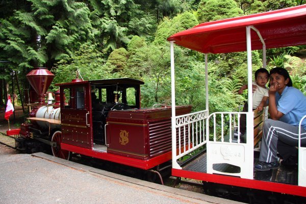 The Miniature Train Ride In Stanley Park Photo