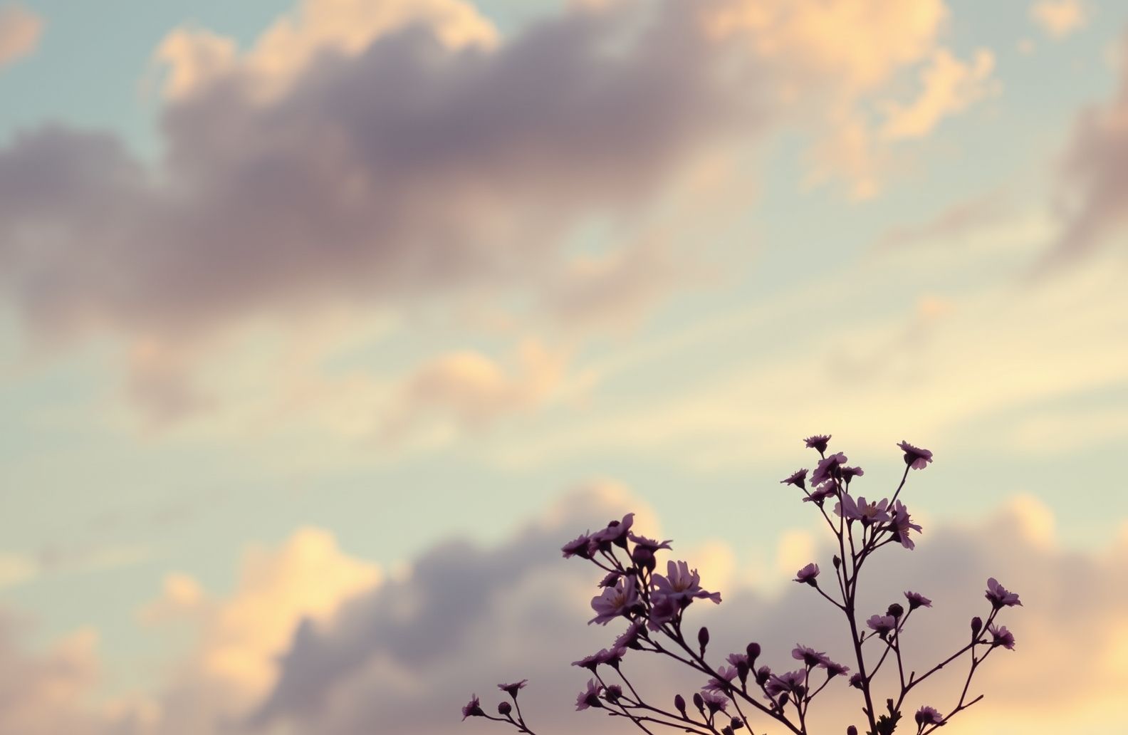 Aesthetic Wallpaper