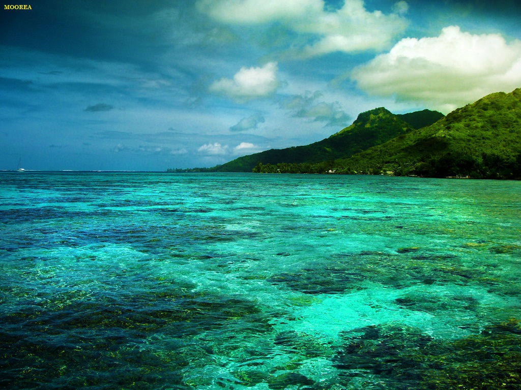 French Polynesia Wallpaper HD Desktop Collections