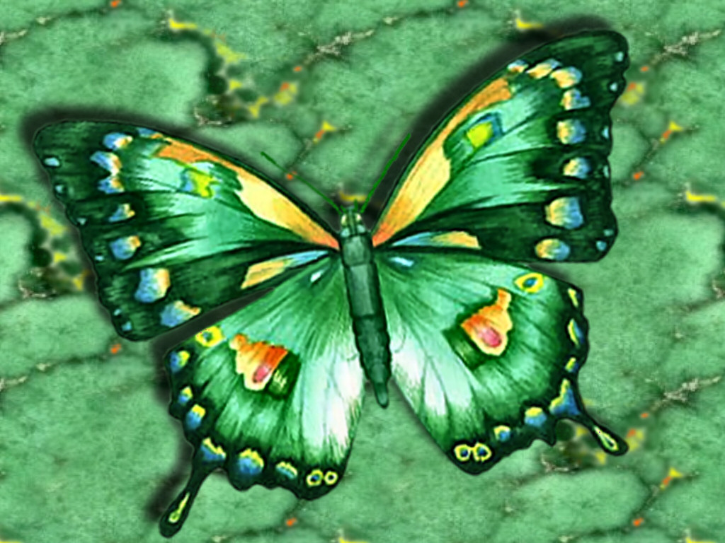 Abstrait Papillon Vert Wallpaper