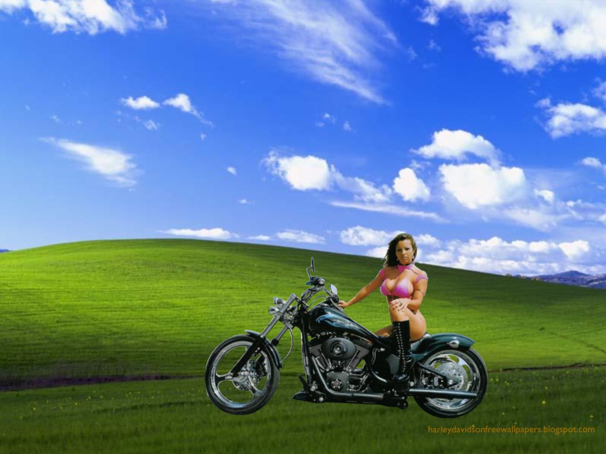 Harley Davidson Posters Wallpaper Of Beautiful Big Bikes Babes Girls