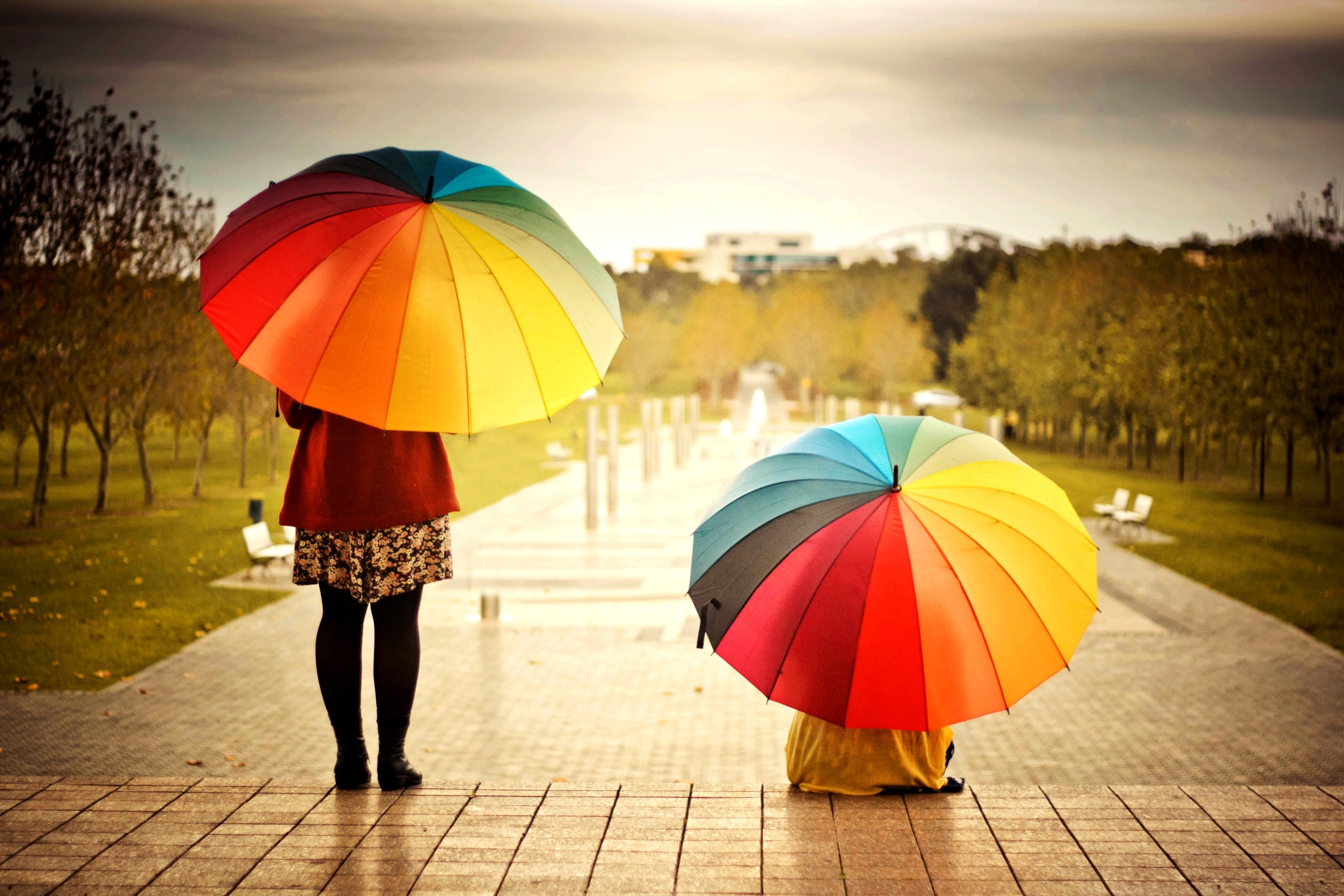 Sun Colors People Path Umbrellas Wallpaper