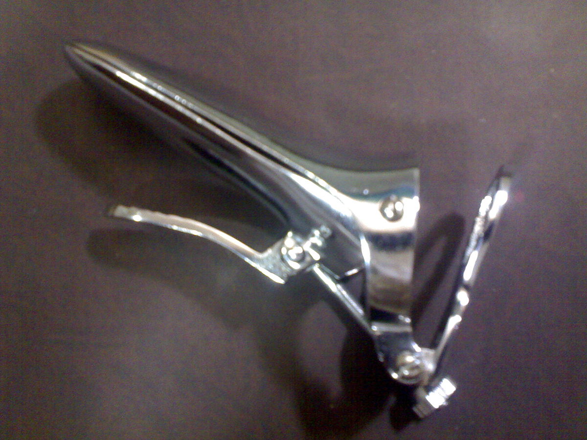 Free download Cuscos speculum Wikipedia [1200x900] for your Desktop