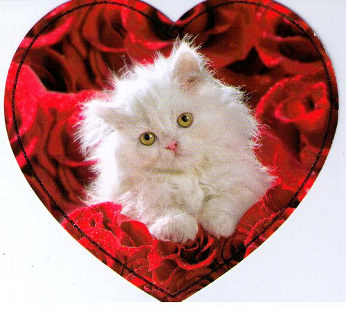 Valentine Kitten Animals Round Robin From Eellaa By alcott1