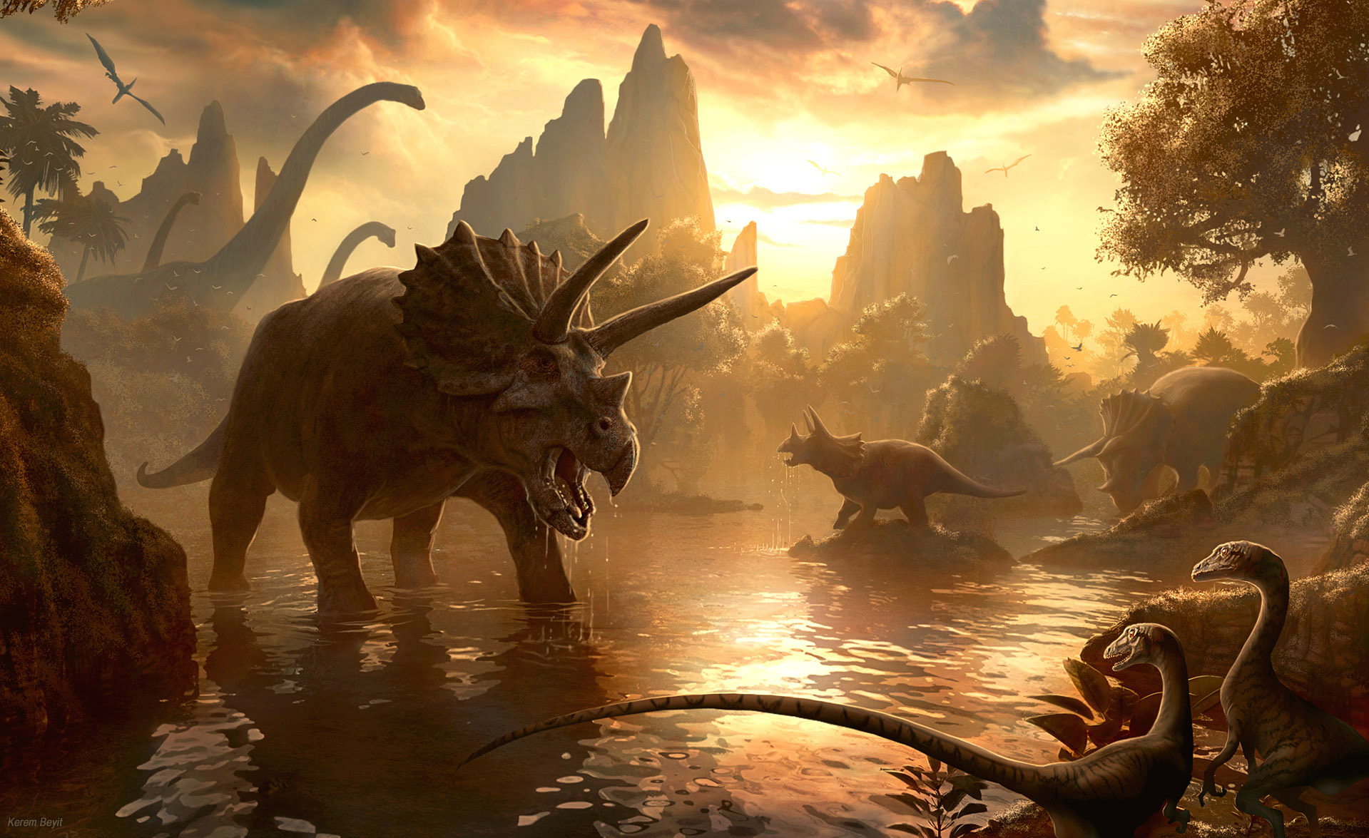 Triceratops HD Wallpaper And Background