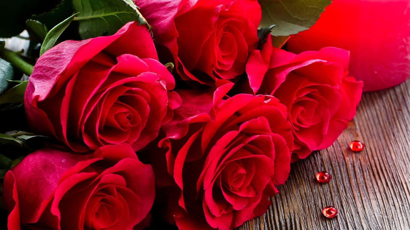 Roses Background Wallpaper