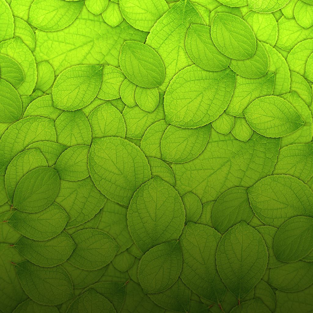 Pure Green Leaf Texture Pattern iPad Wallpaper