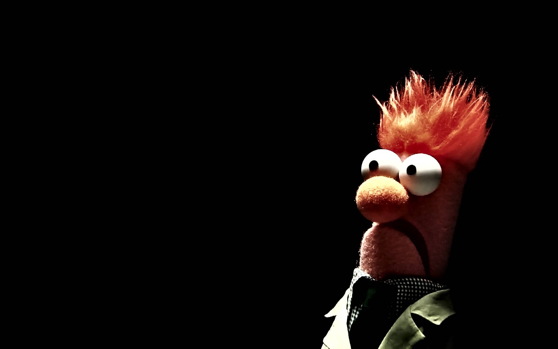 Muppet Pictures Puppets Humor Shows Desktop Wallpaper HD