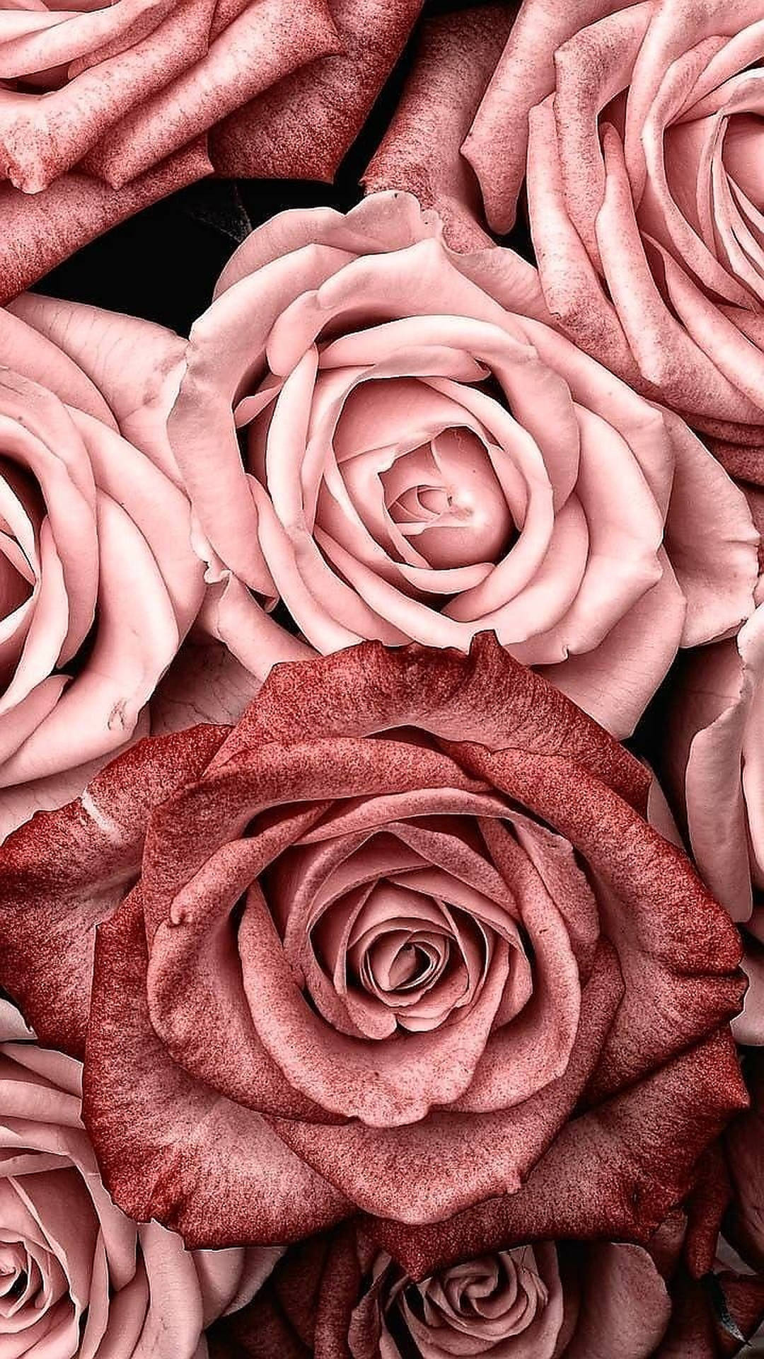 Rose Gold Aesthetic Background Wallpaper