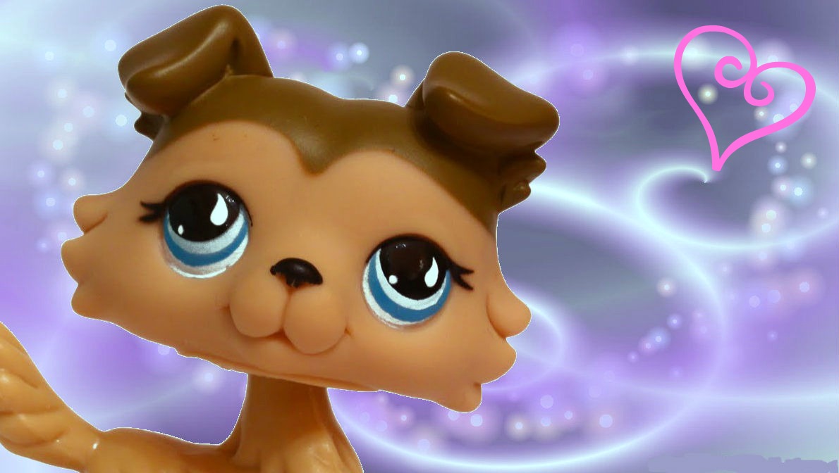 Littlest pet shop advent calendar 2012 by Twilightberry on DeviantArt