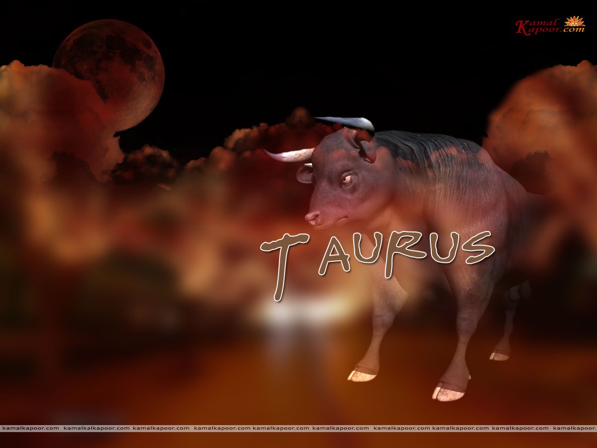 Taurus Wallpaper 11810 Hd Wallpapers in Zodiac   Imagescicom