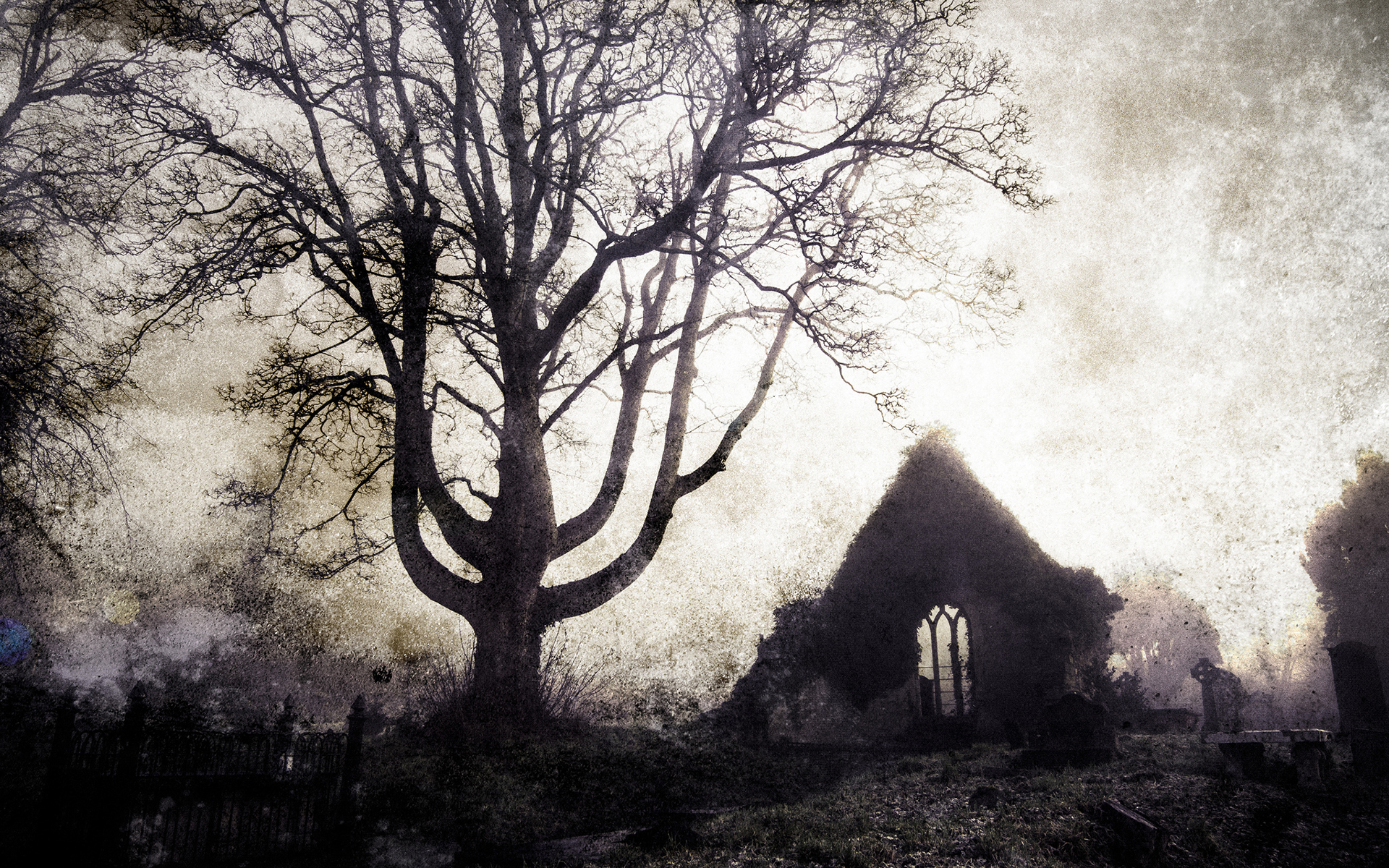 Tree Cemetery Gothic Buildings Ruins Cross Landscapes Wallpaper
