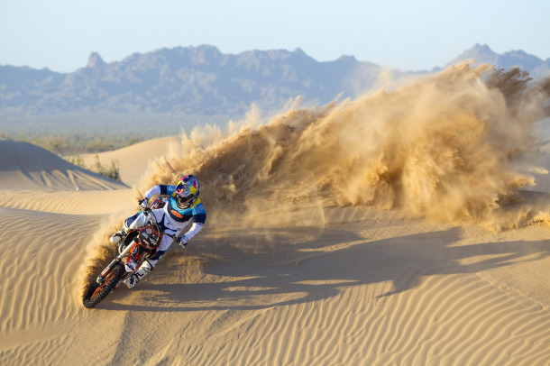 Ronnie Renner On The Roost In Glamis
