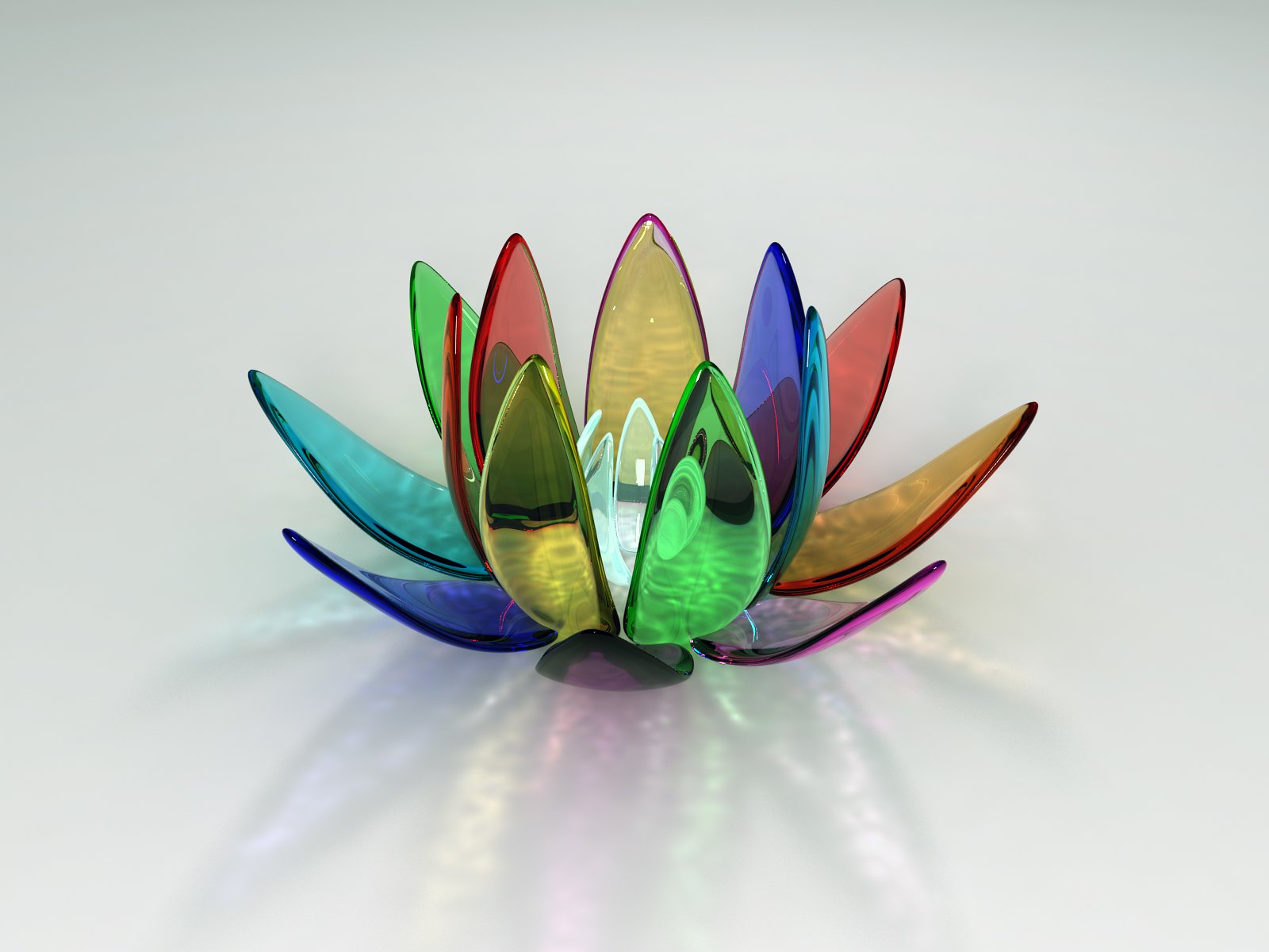 Glass Rainbow Lotus Wallpaper 3d Graphics