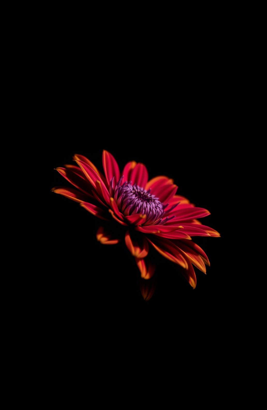 Black Background Pic