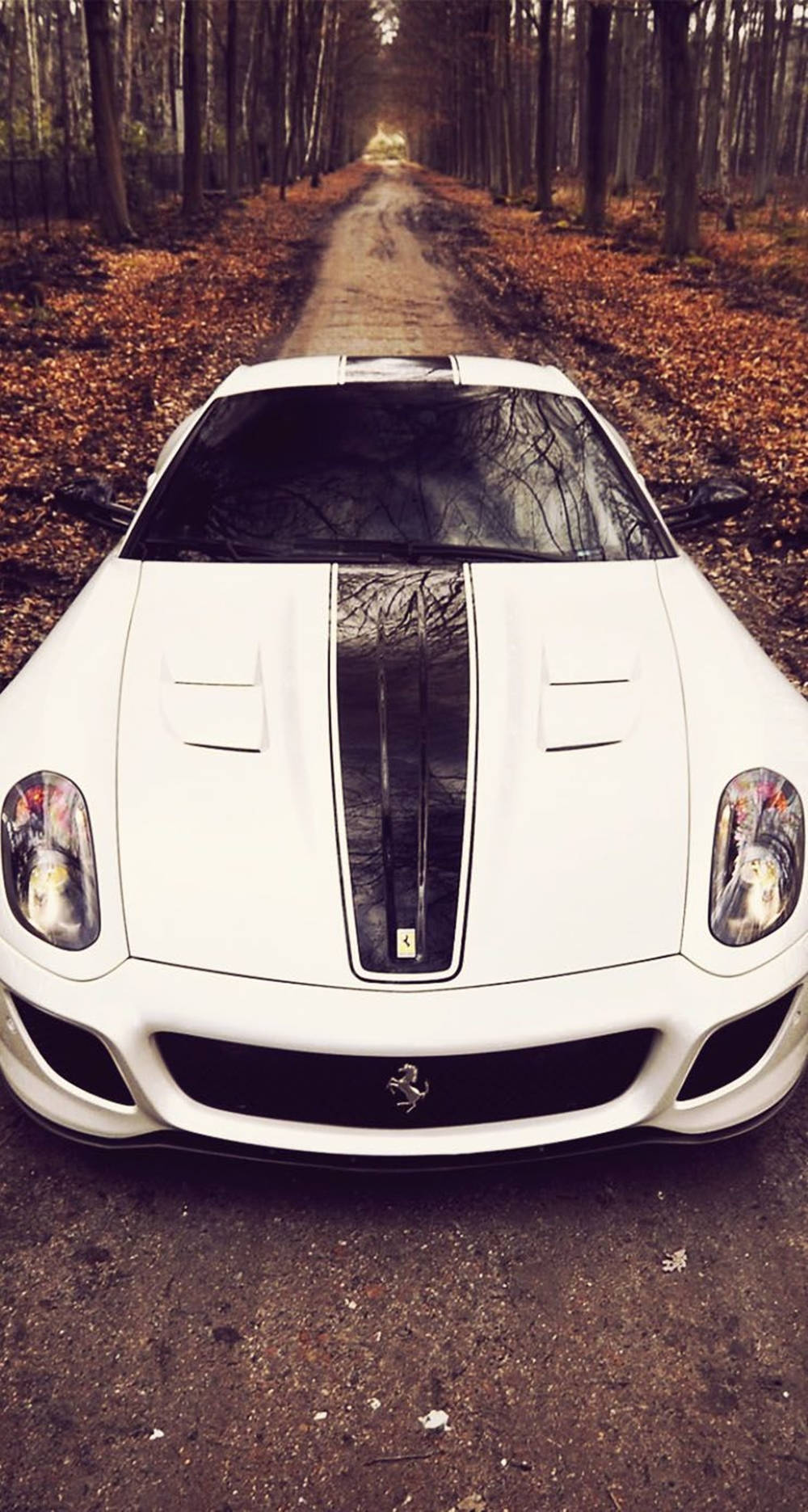 Ferrari iPhone Wallpaper
