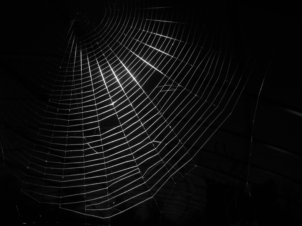 The Dark Web Thegist