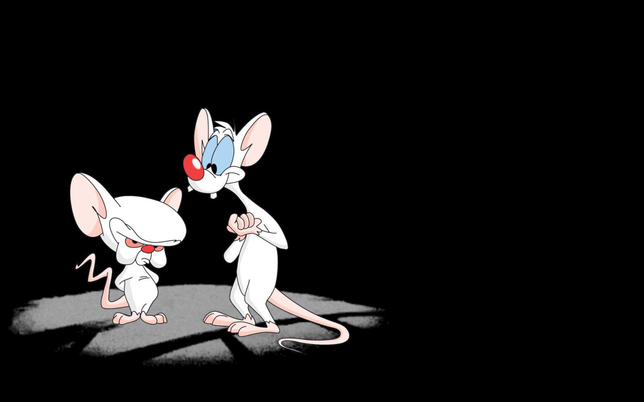 The Gallery For Gt Pinky And Brain Wallpaper Layouts