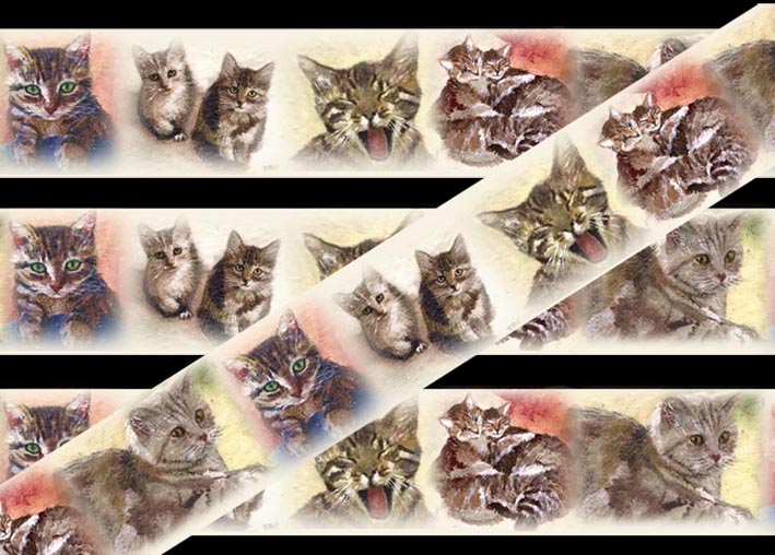 Free download cat wallpaper border [525x286] for your Desktop, Mobile