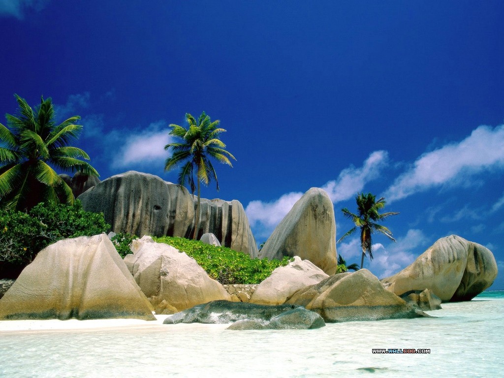 Tropical Island Wallpaper HD In Beach Imageci