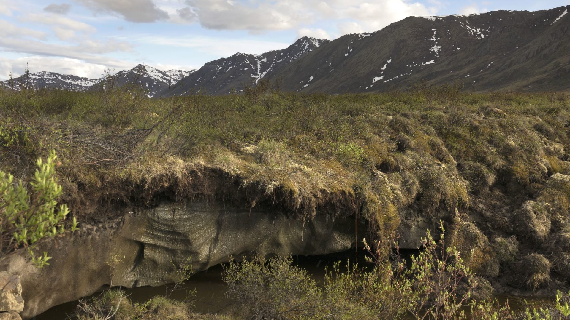 Permafrost Loss Could Cause Abrupt Arctic Climate Changes