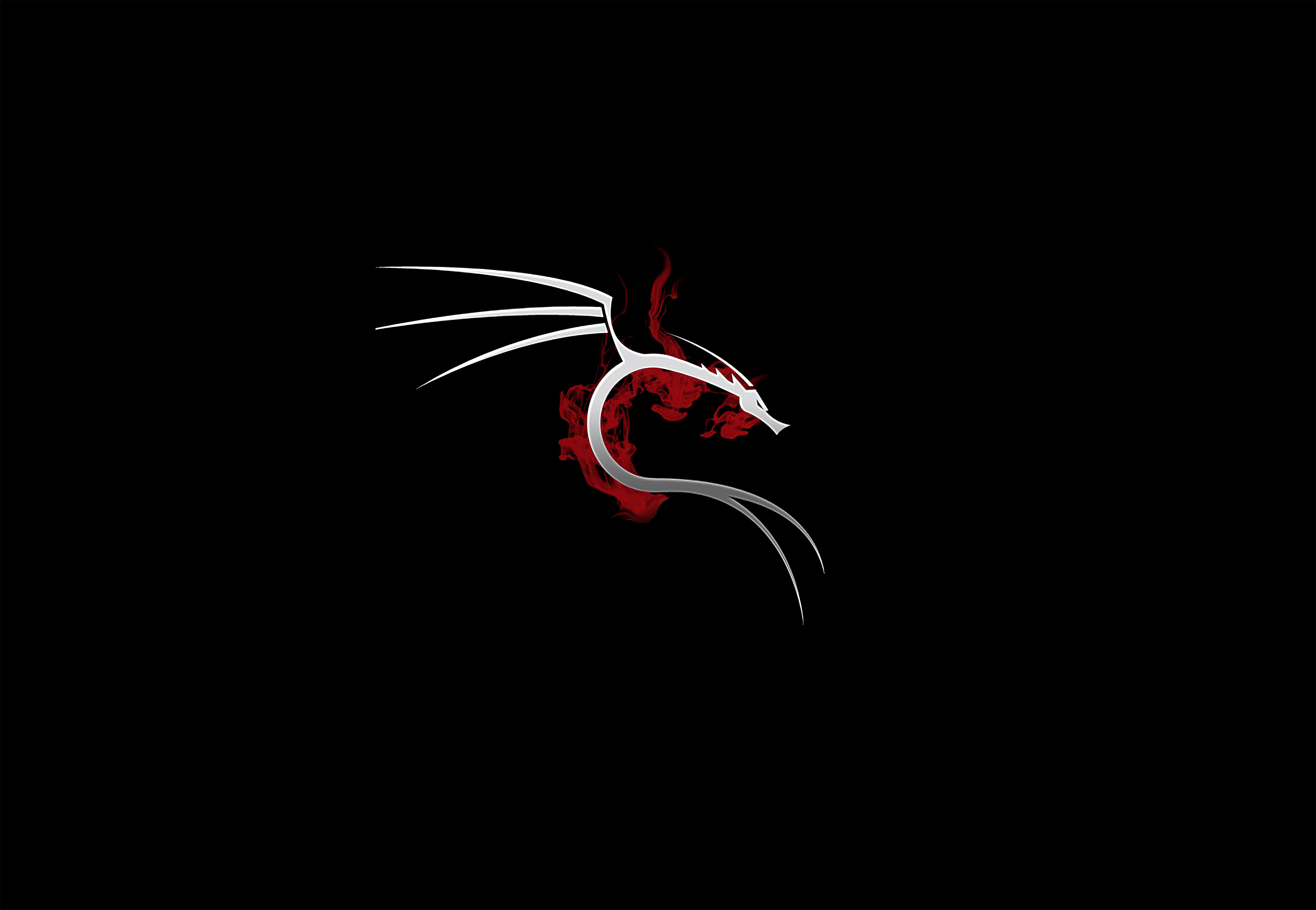 Kali Linux 4k Wallpaper HD Computer Image