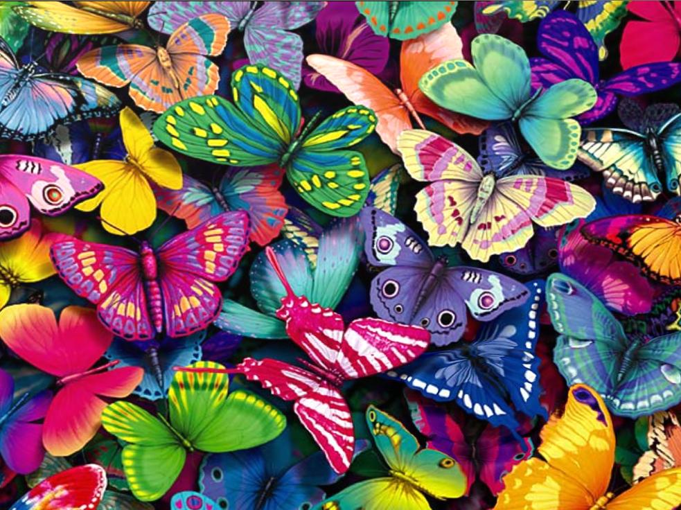 Enjoy This Fantastic Butterfly Screensaver Animated Wallpaper