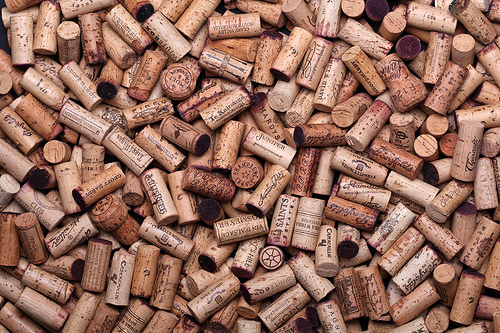 Field Of Corks Photo Sharing