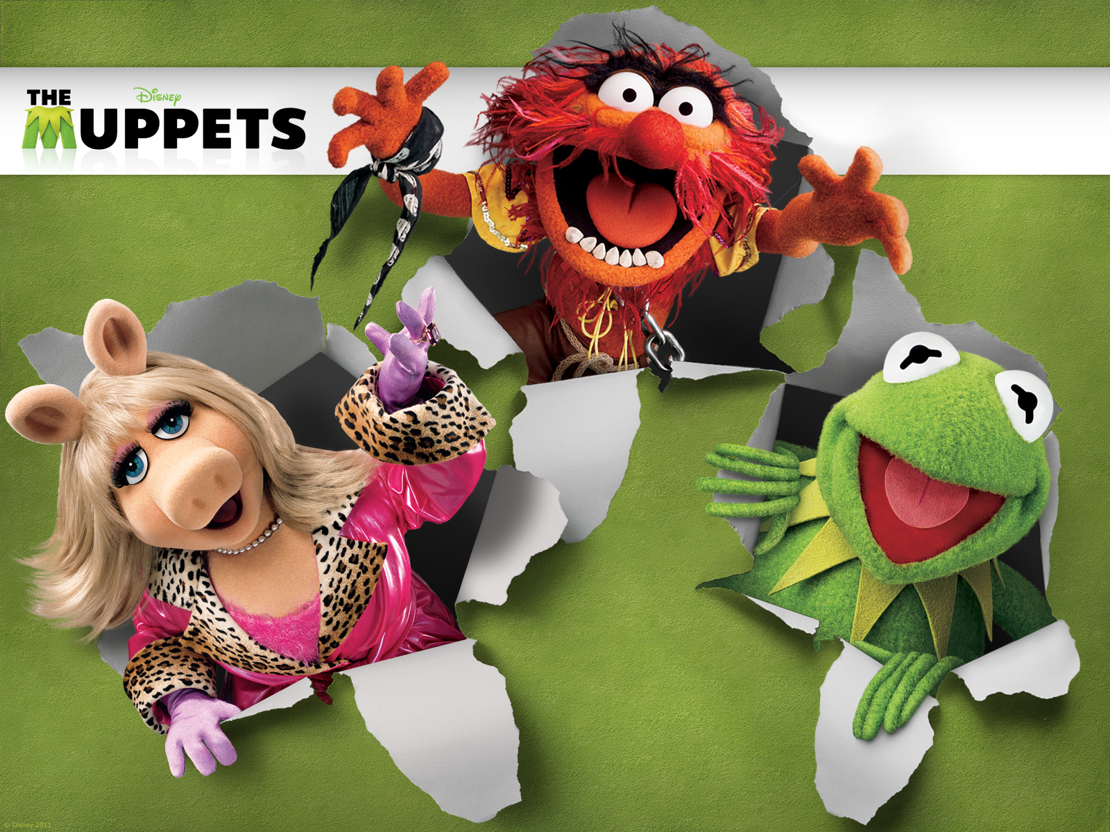 Gallery Photos of "Wallpapers Animal Muppets" .