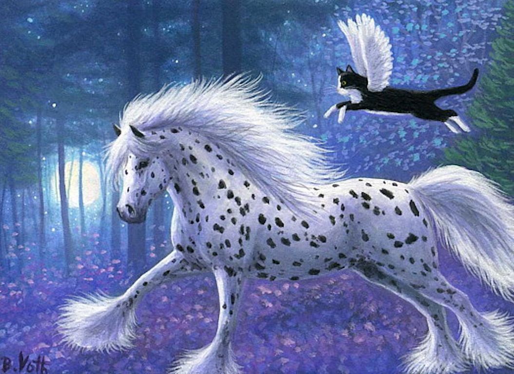 Fantasy Horse With Flying Cat Wallpaper