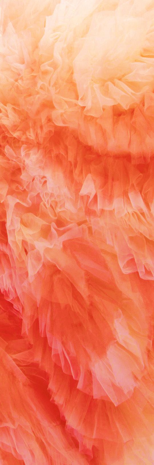 Marykate On Color Wallpaper